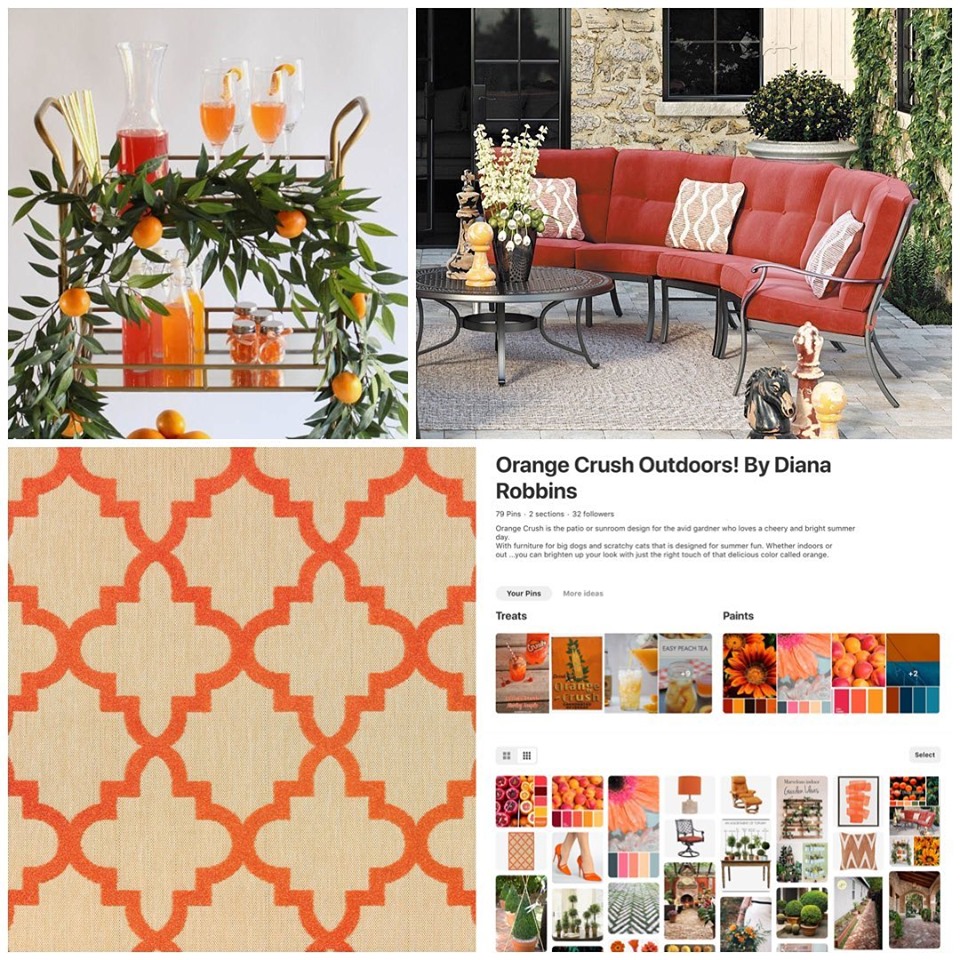 Orange Crush is the patio or sunroom design for the avid gardner who loves a cheery and bright summer day. With furniture for big dogs and scratchy cats that is designed for summer fun. Whether indoors or out ...you can brighten up your look with just the right touch of that delicious color called orange.